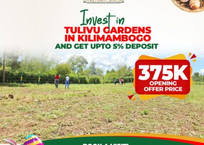Pinlands investment Tulivu Gardens