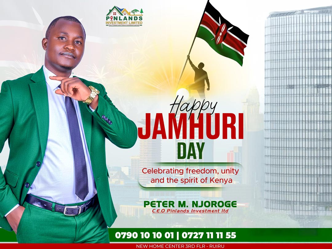 Who we are- Pinlands Investment Limited