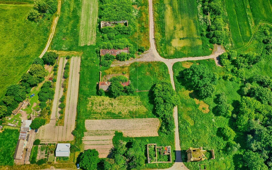 Our Land Due Diligence Process