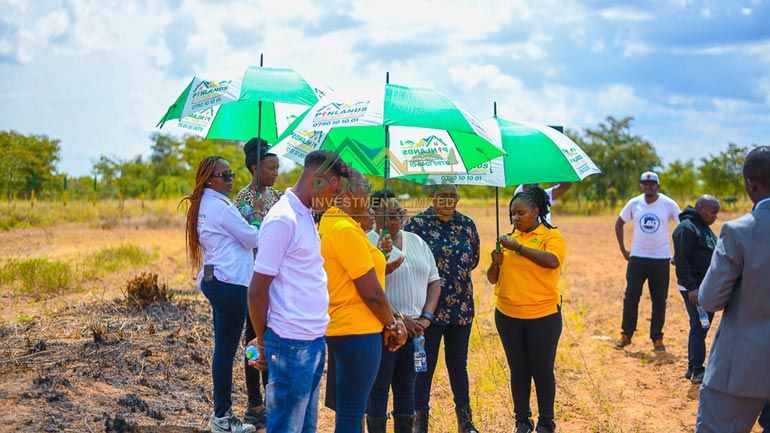 Why Pinlands investment