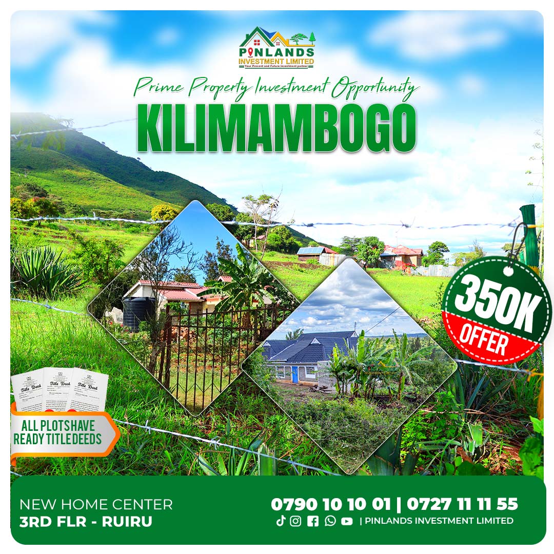 Mountain Bliss Garden Kilimabogo